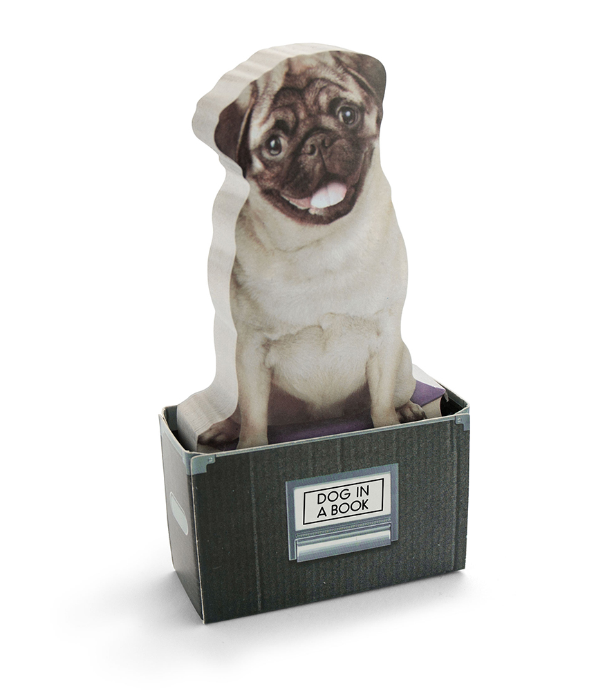 Mustard Sticky Notes Not Kağıdı // Dog in a Box