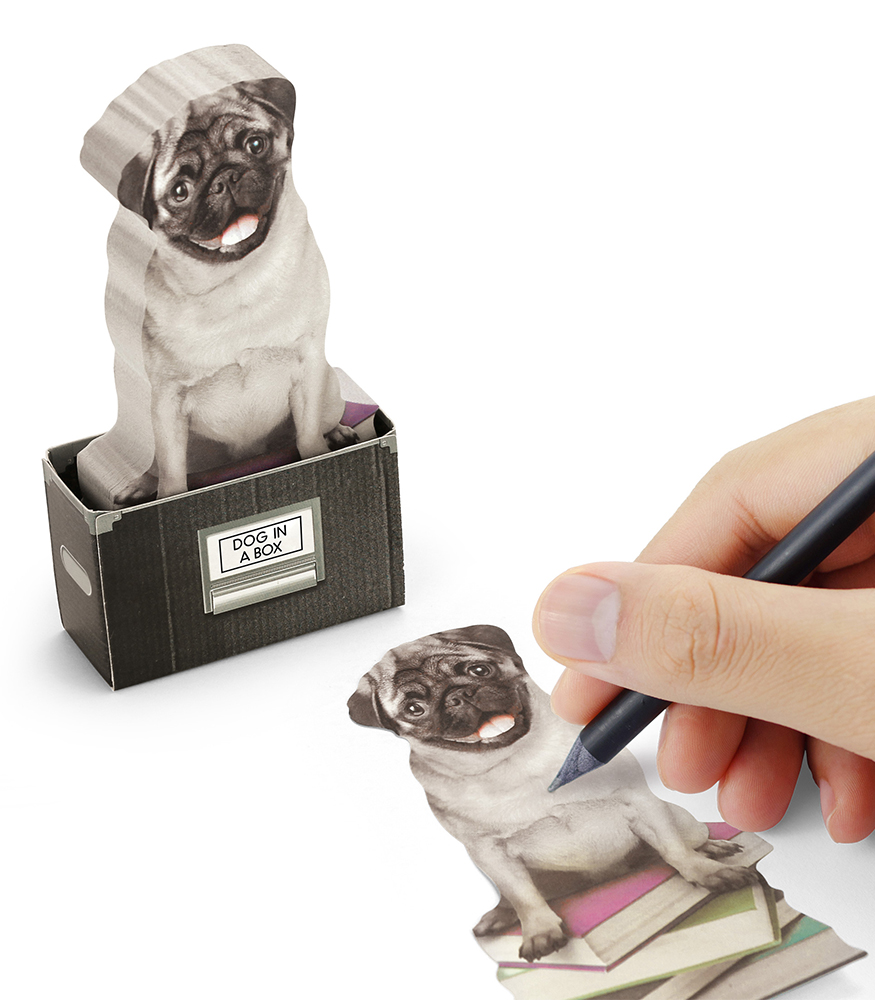 Mustard Sticky Notes Not Kağıdı // Dog in a Box