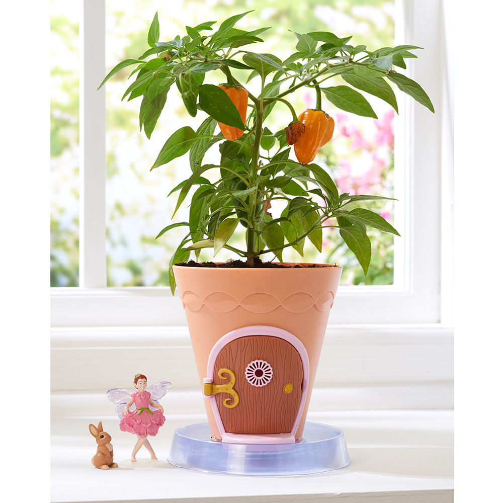 My Fairy Garden  Peri Çiçek Saksısı                               