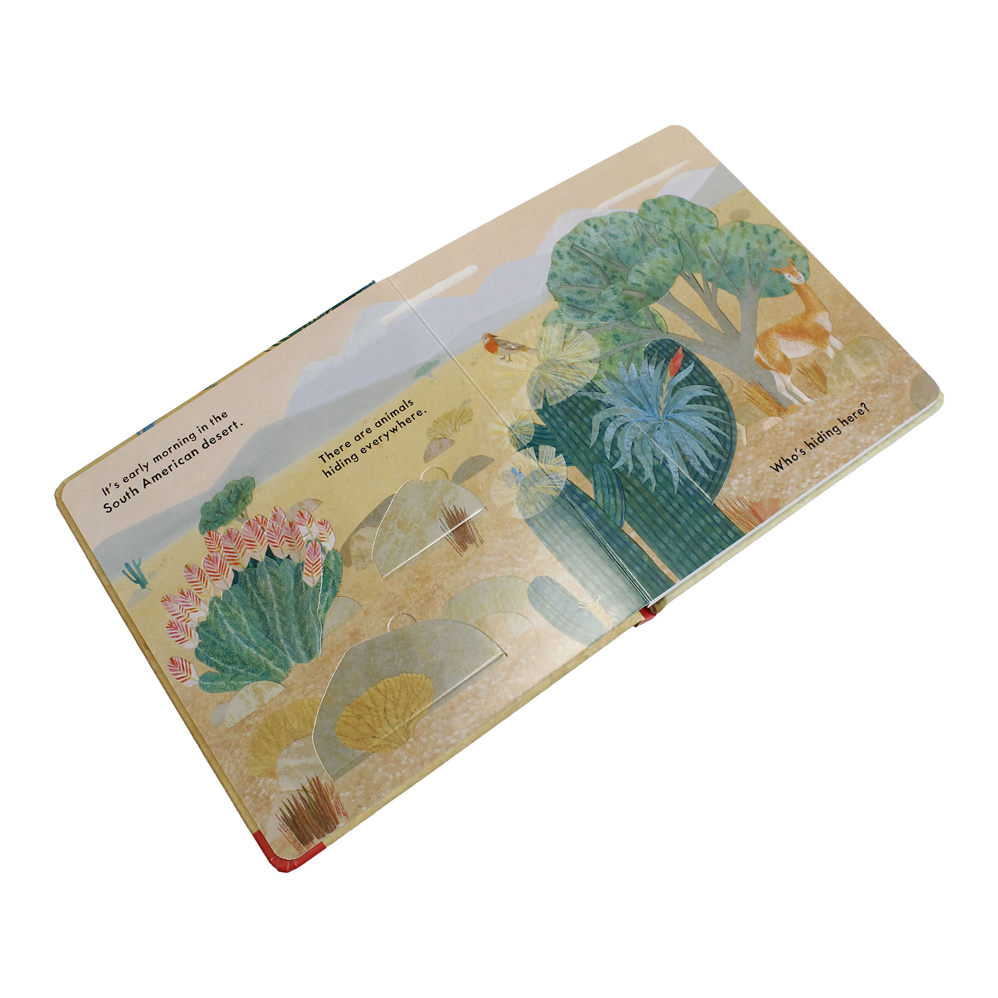 Nosy Crow Who's Hiding in the Desert?