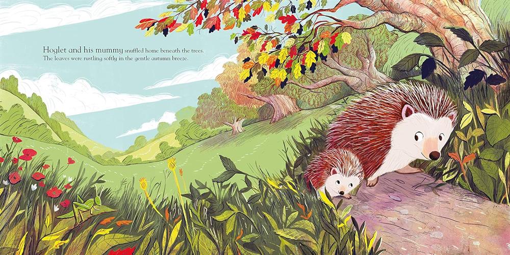 Nosy Crow Love You Always