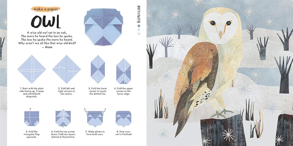 Nosy Crow National Trust: Nature Origami