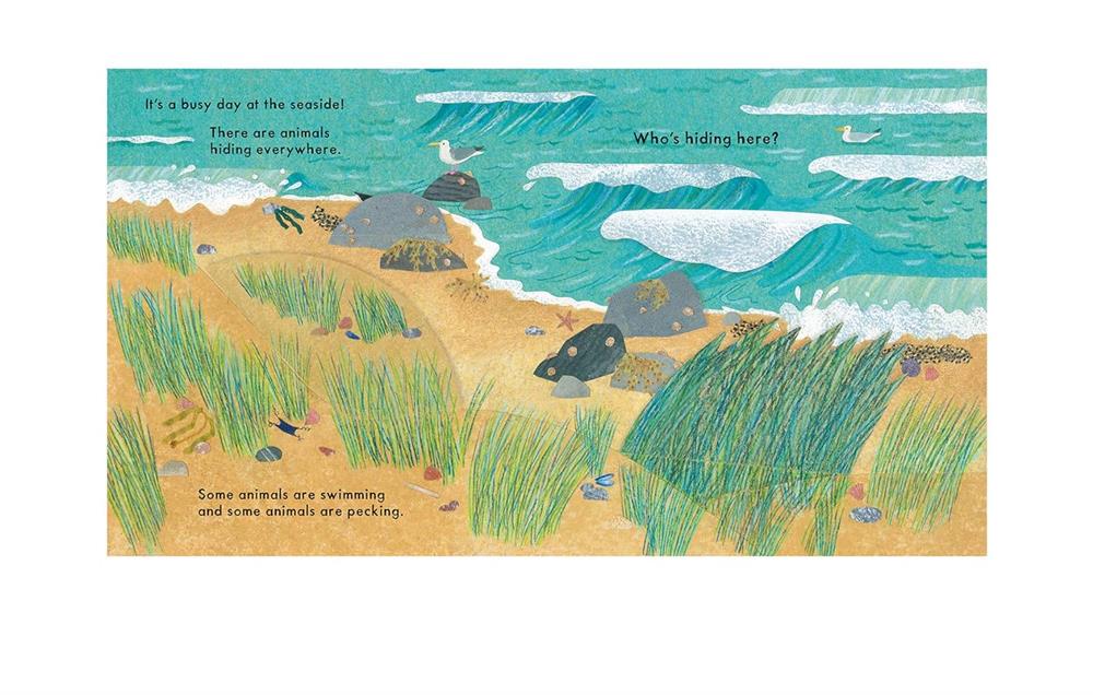 Nosy Crow National Trust: Who's Hiding at the Seaside?