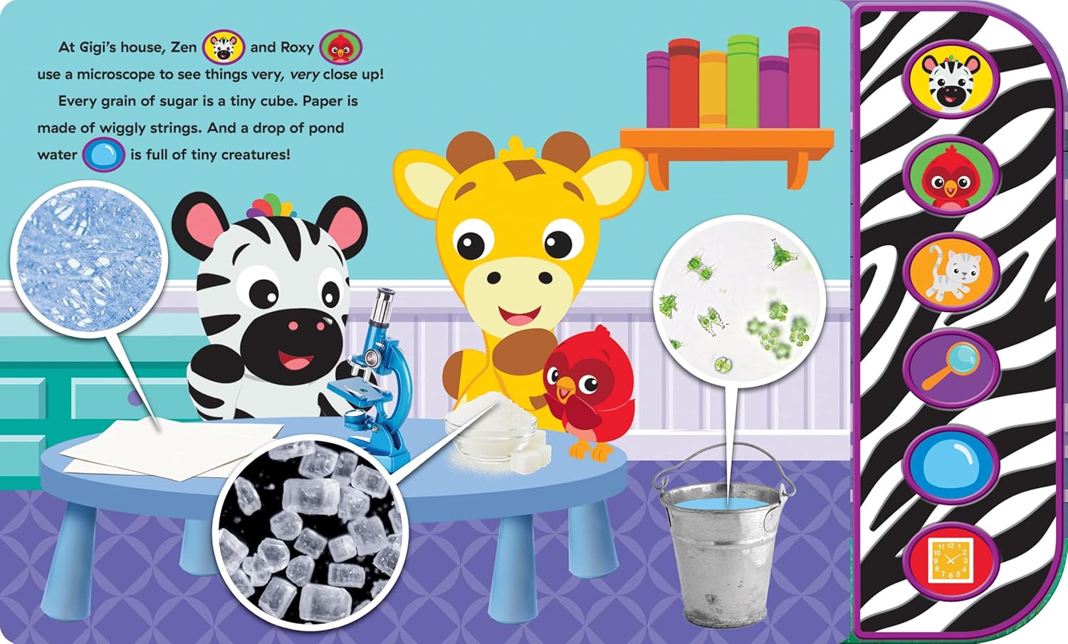 Pi Kids Baby Einstein: Explore with Me!