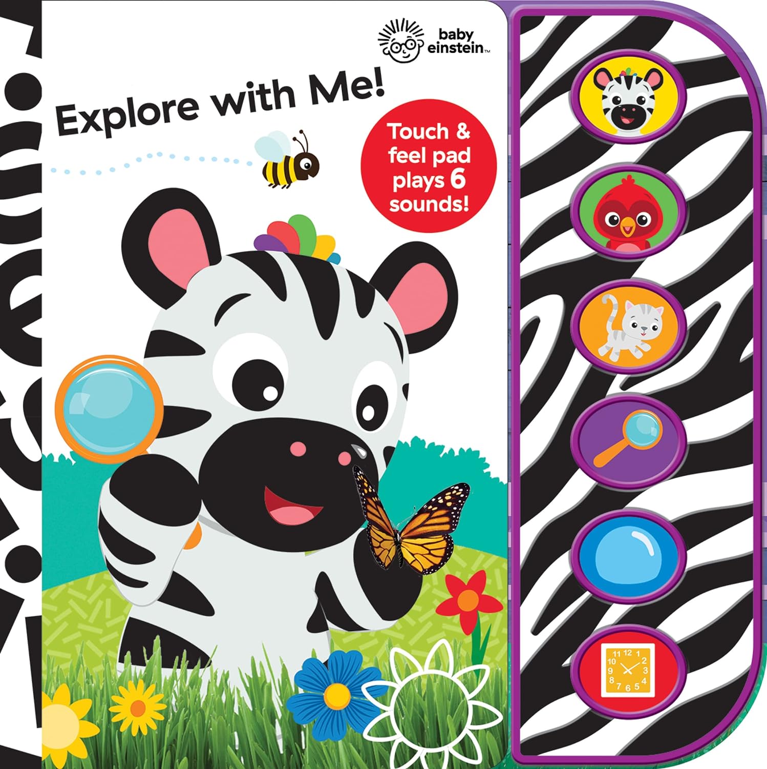 Pi Kids Baby Einstein: Explore with Me!