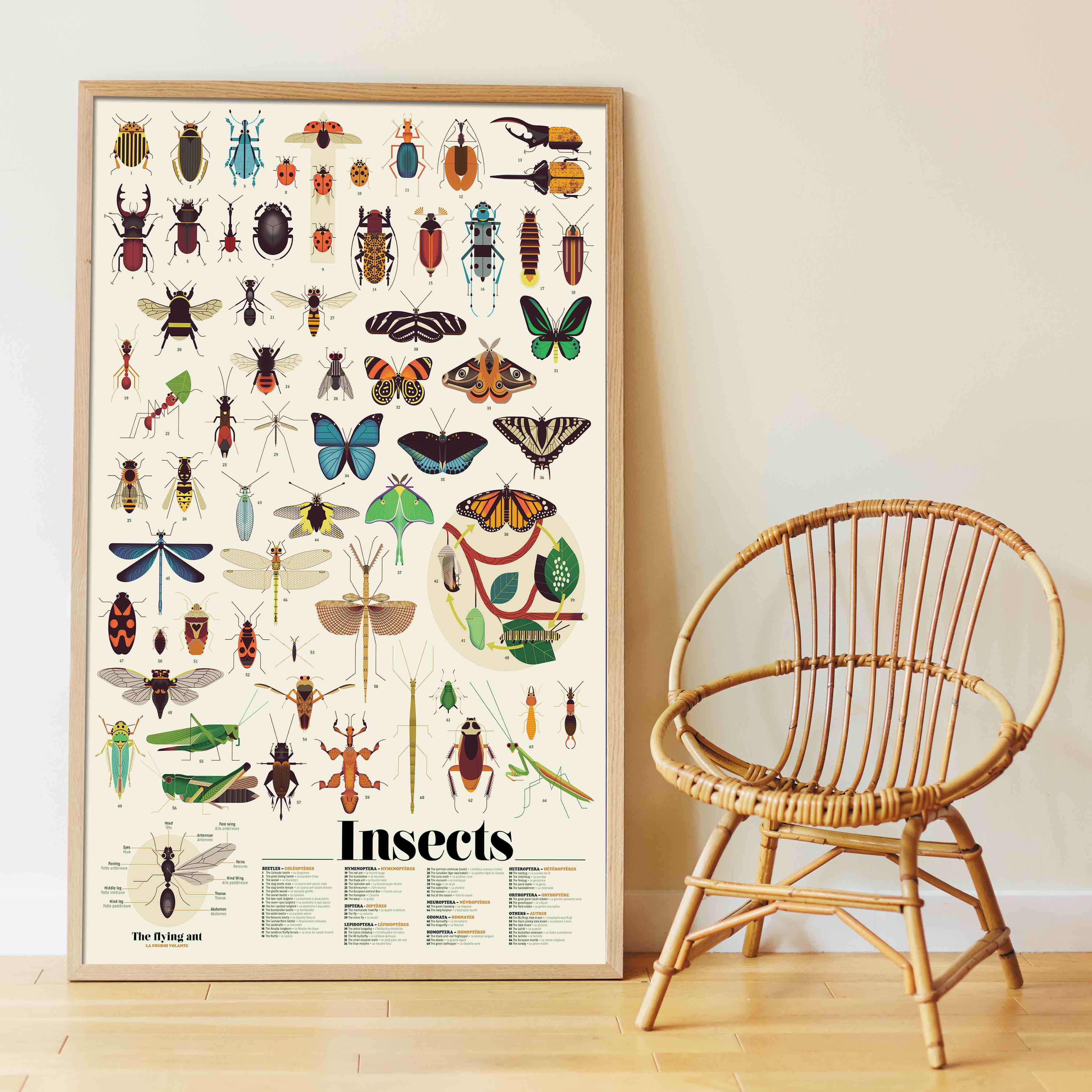 Poppik Discovery Sticker Poster // Insects