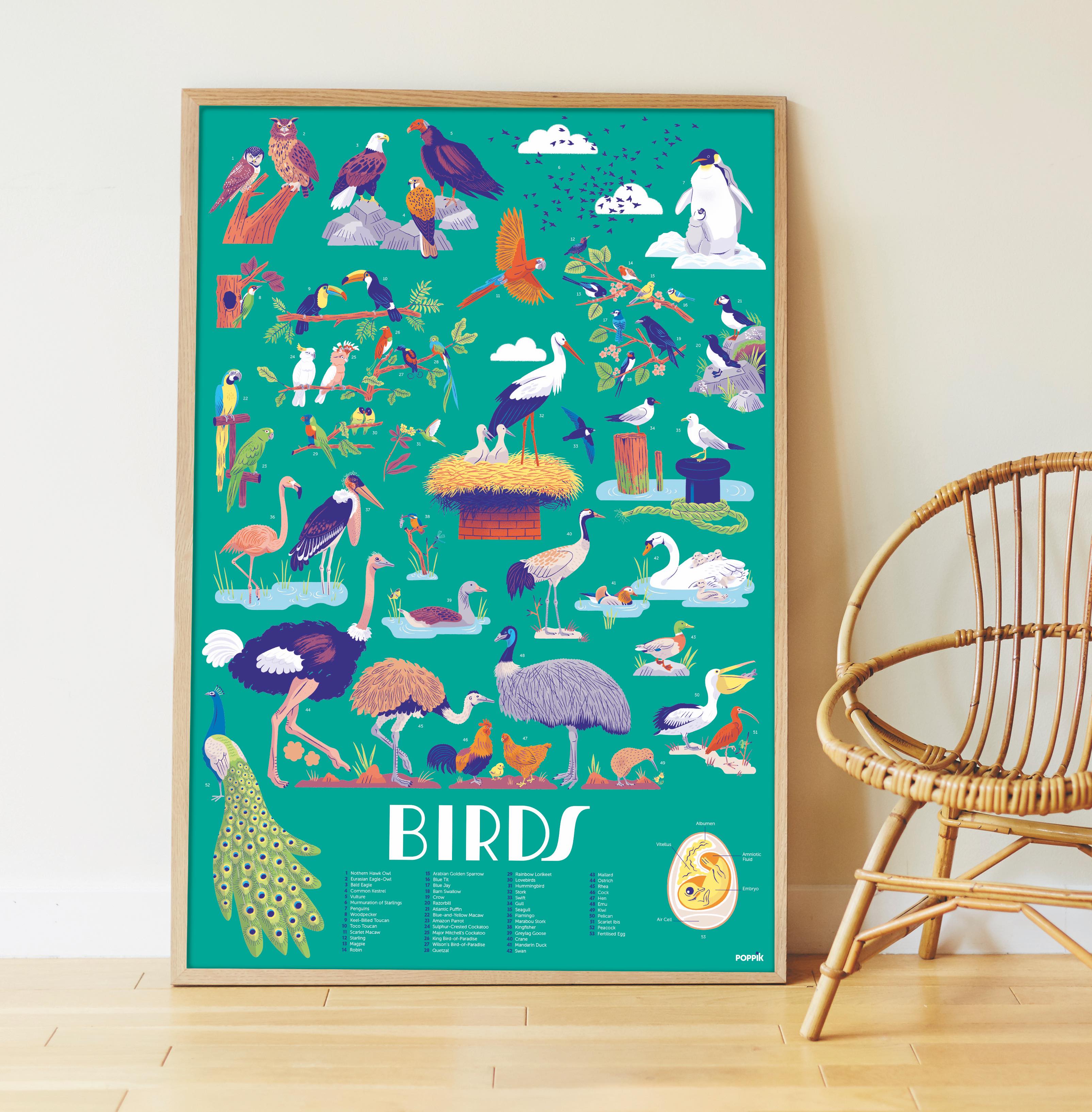 Poppik Discovery Sticker Poster // Birds