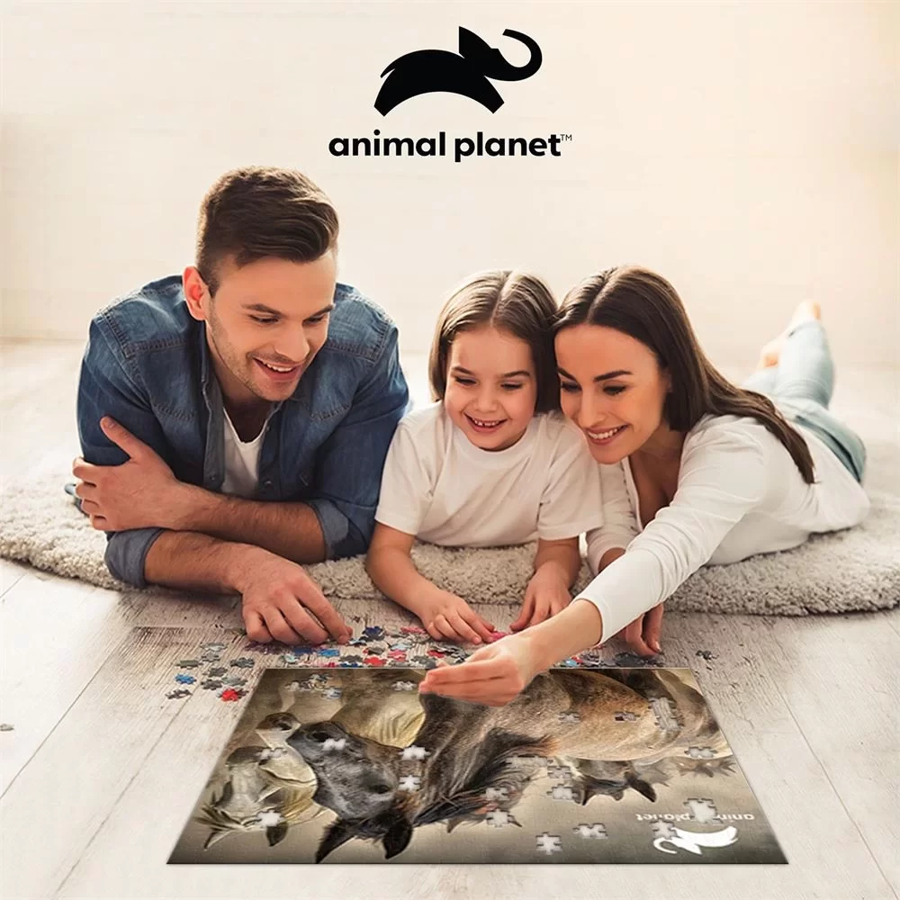 Prime 3D Yetişkin Puzzle 500 Parça // Atlar
