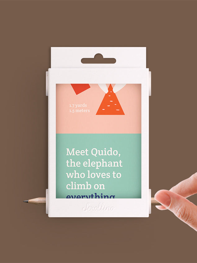 Scrollino Çevirmeli Aktivite Kitapçık // Quido & Shapes