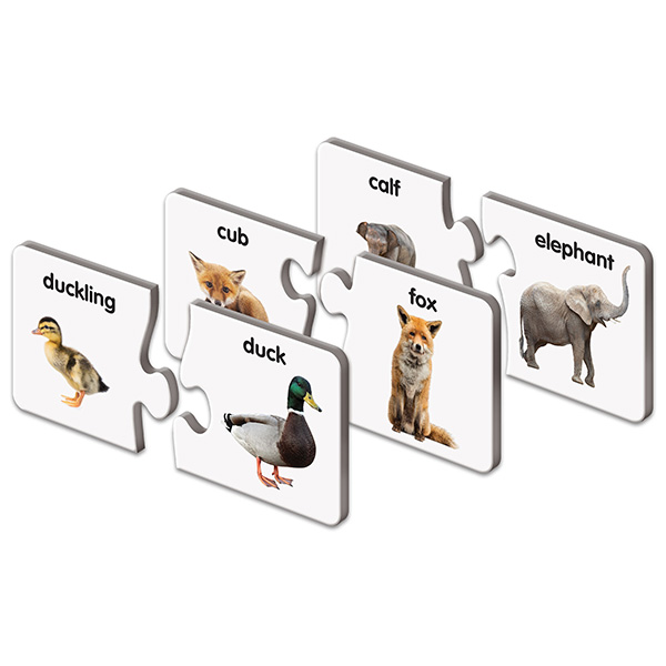 The Learning Journey İngilizce &Ouml;ğreniyorum / Yavrusu Yetişkini