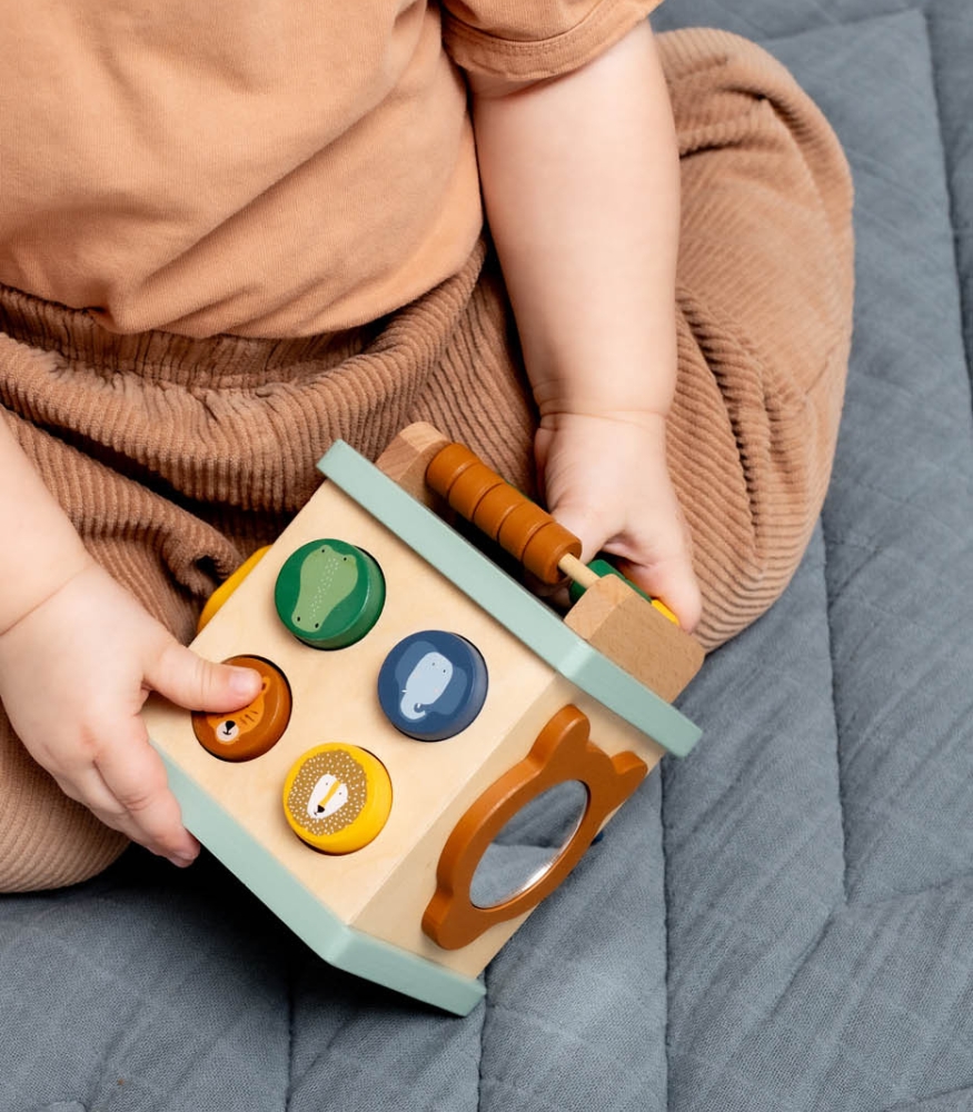 Trixie Ahşap Aktivite K&uuml;p&uuml;