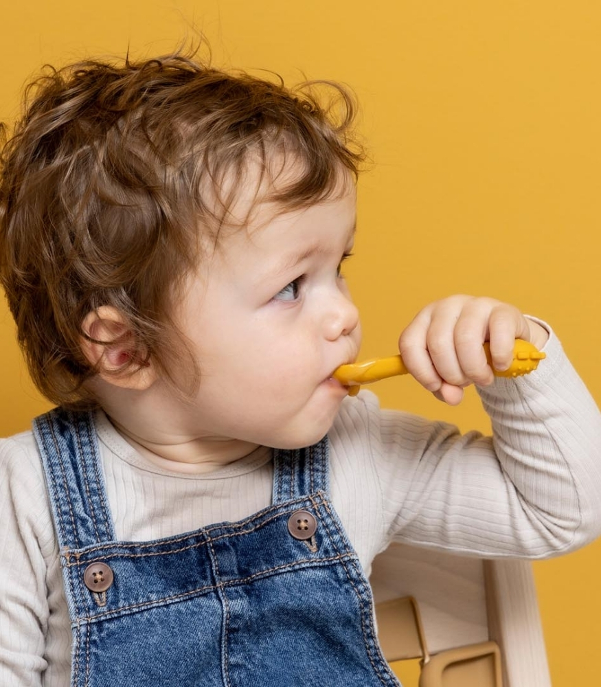 Trixie Silikon Bebek Kaşığı Seti (2 Adet) // Mr. Lion