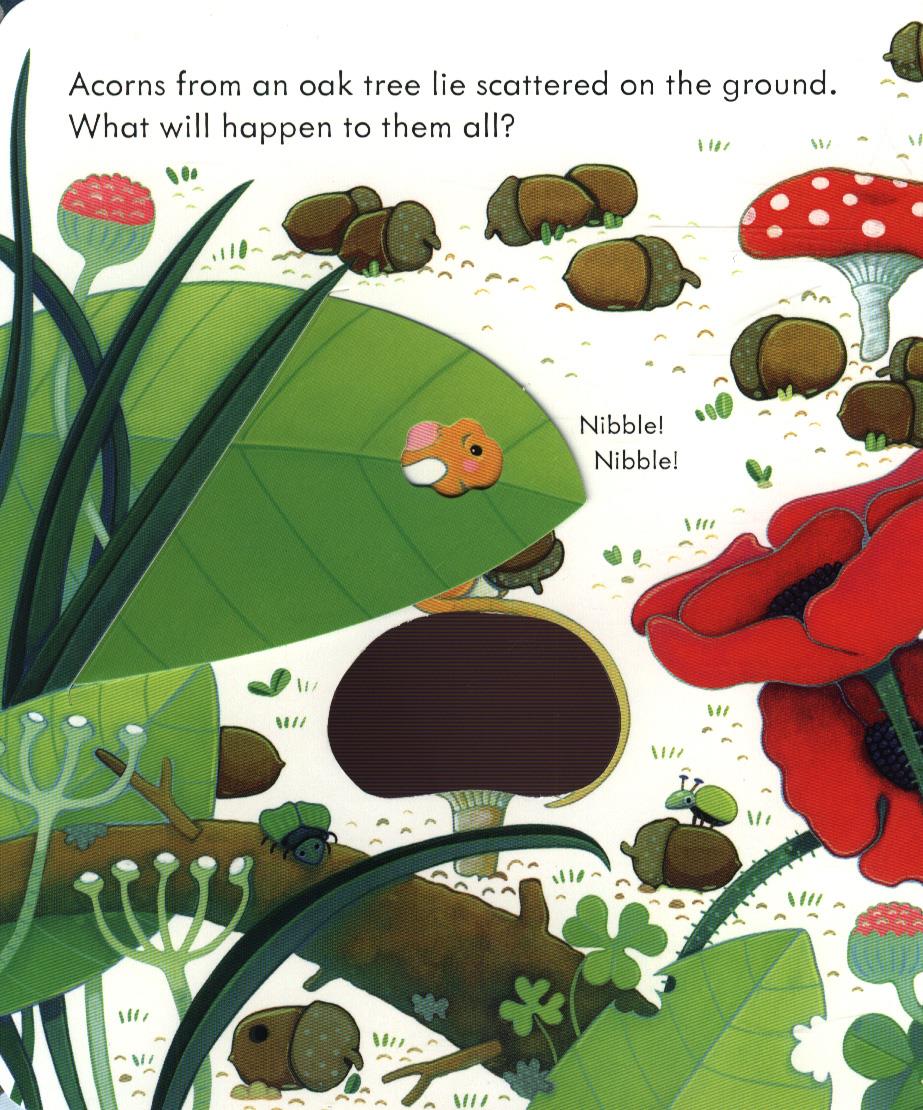 USB - Peep Inside A Tree