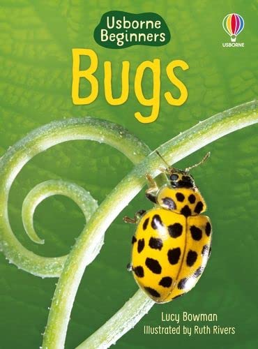 Usborne Bugs