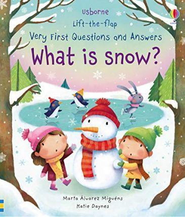 USB - Very First Q&A What Is Snow?