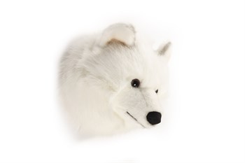 Wild & Soft Duvar Aksesuarı // Kurt Lucy