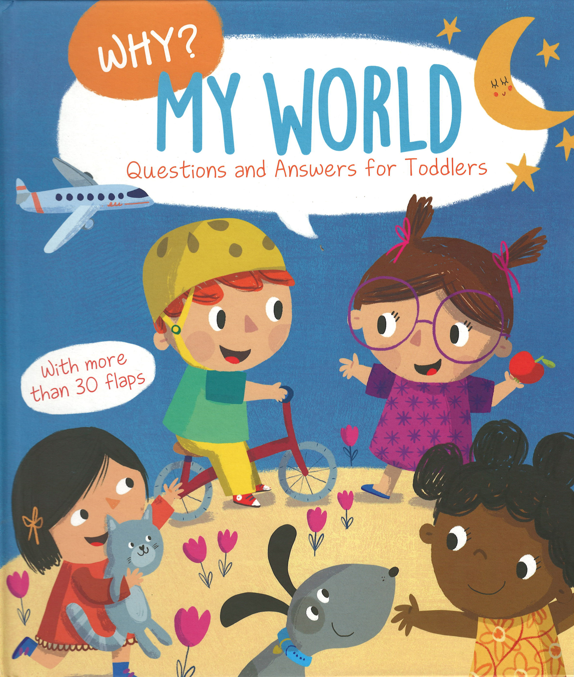Yoyo Books Why? Questions and Answers for Toddlers: My World