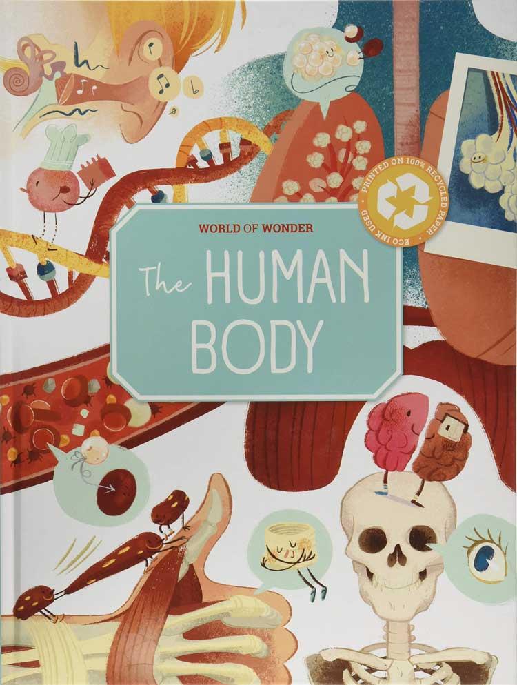 Yoyo World of Wonder :The Human Body