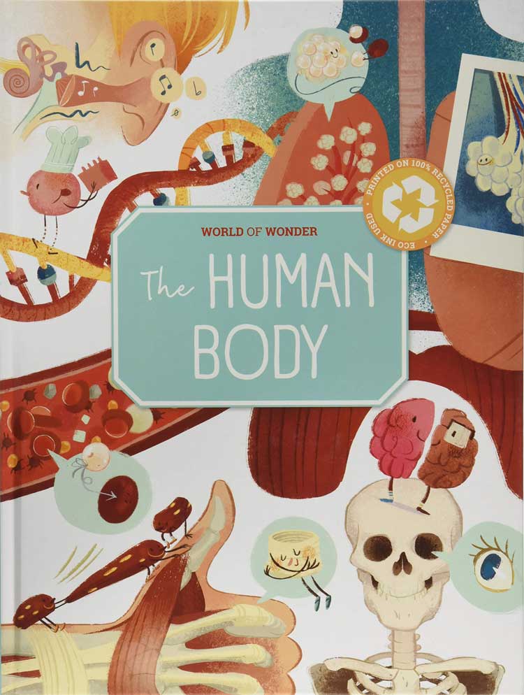 Yoyo World of Wonder :The Human Body